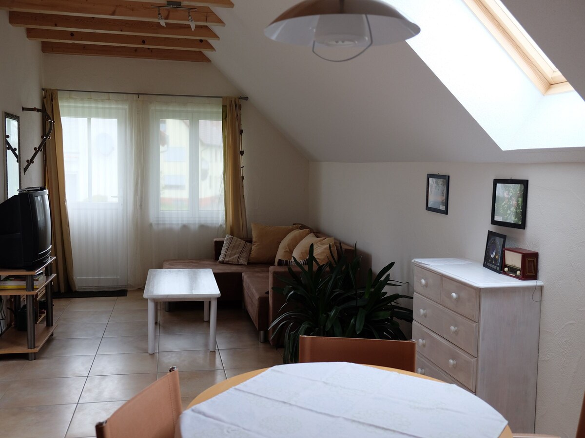 Ferienwohnung am Ried ， （ Wald ） ， 1-Raum-Wohnung ， 48qm ， 1 Wohn-/Schlaraum ，最多3人