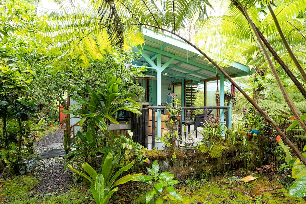 Eco Hale Hawaii in the Rainfore of Aloha