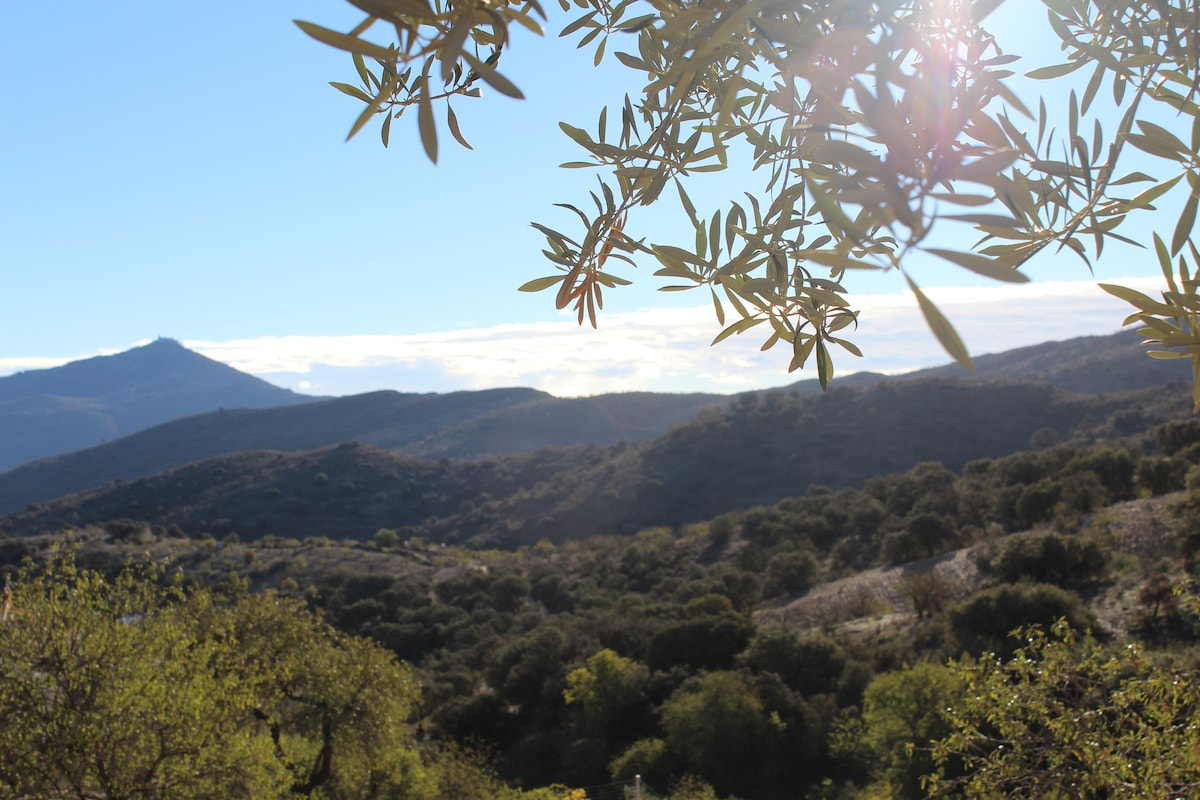 Cortijo Rincon de la Alcudia a Paradise in the Sun