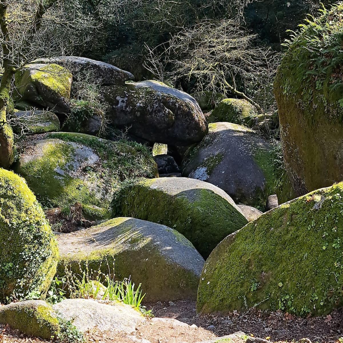 Heart of Bretagne