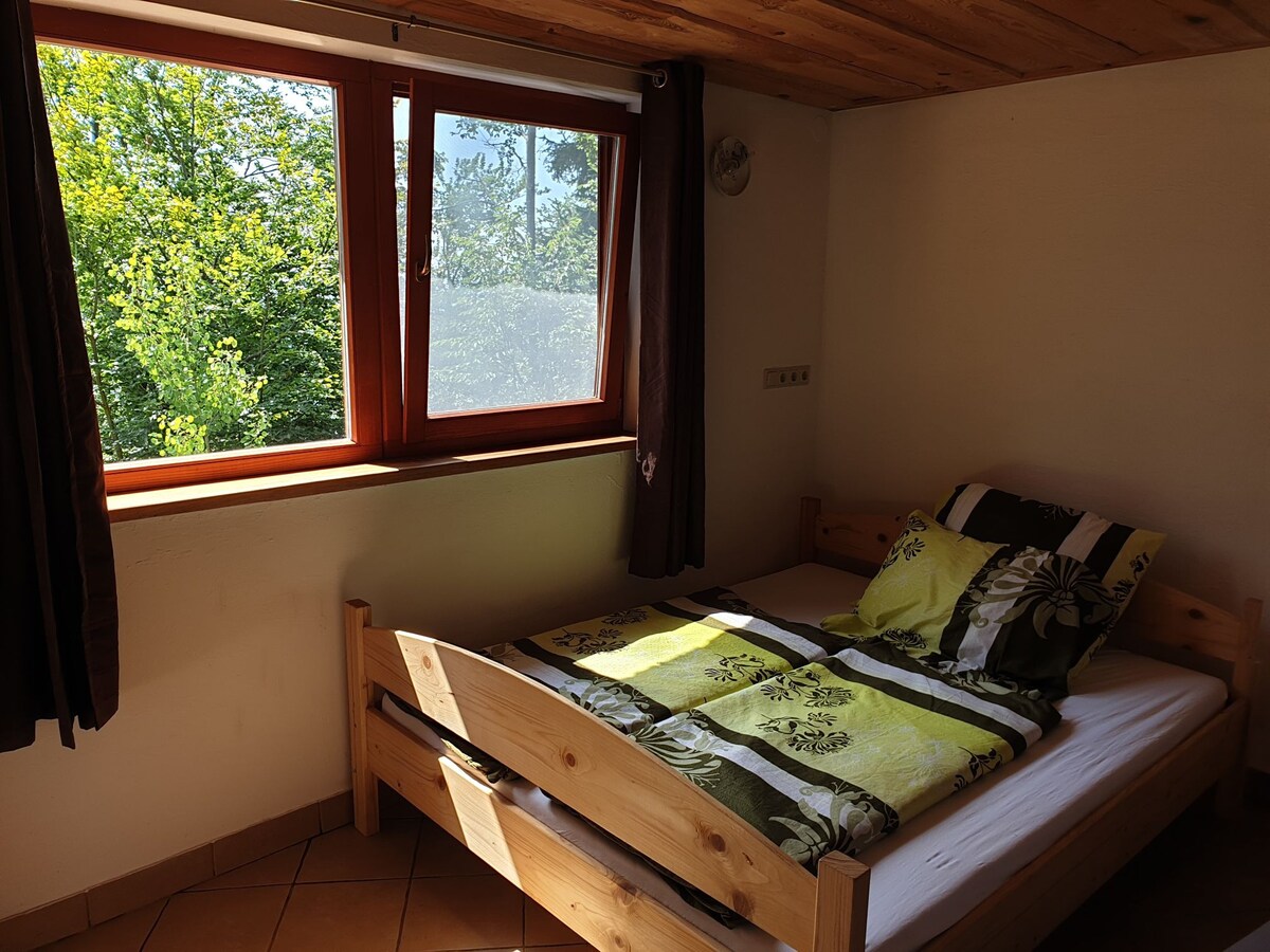 Apartment in the forest - Dom na Lovrencu lodge