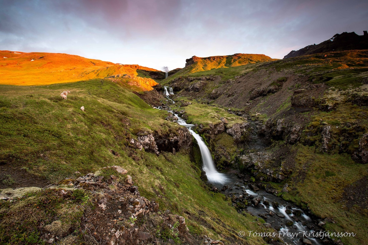 Fellsendi - Kirkjufell Paradise