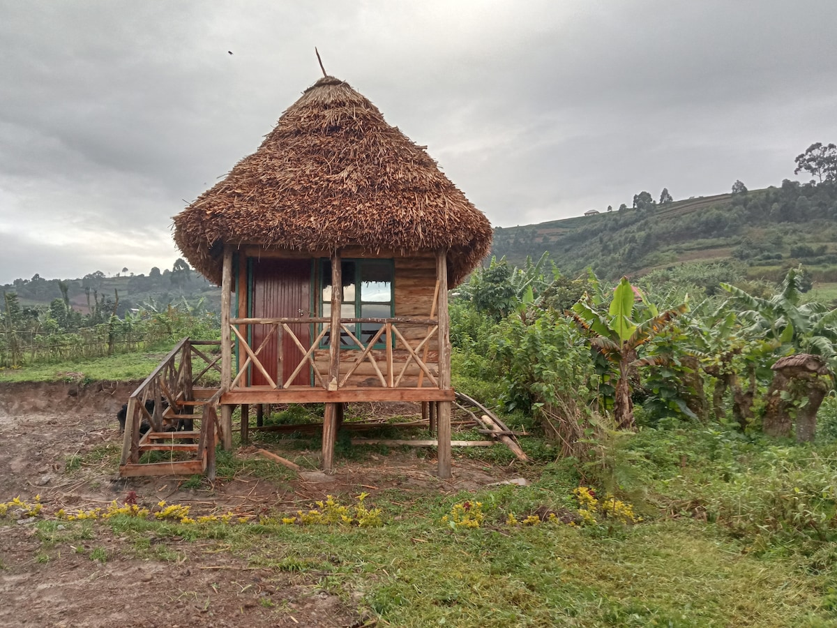 lake view hut