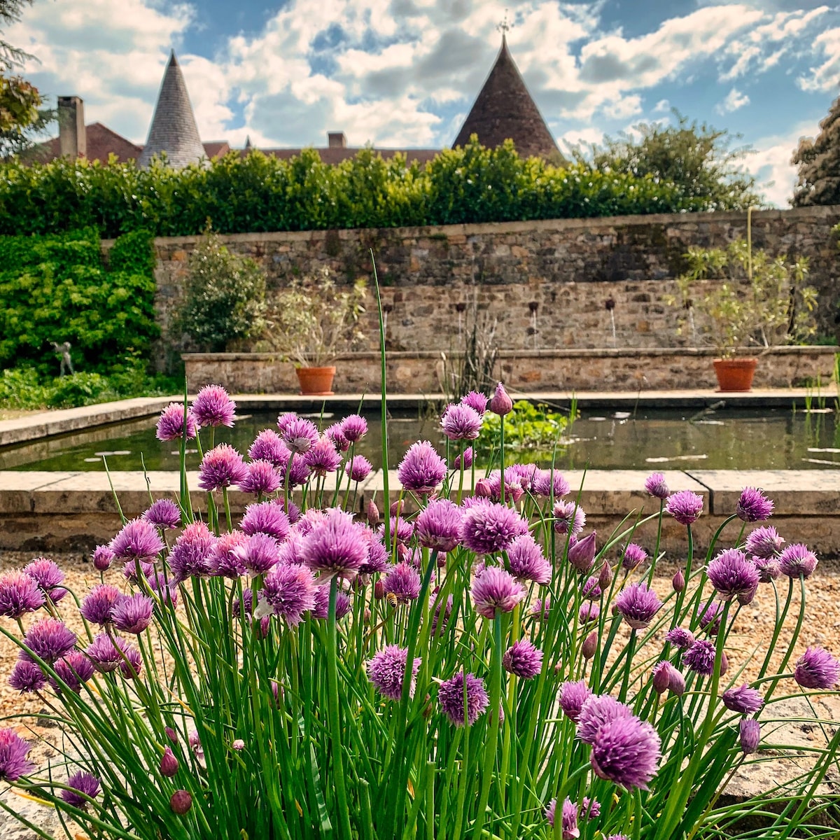 Maison privée avec spa et son jardin médiéval