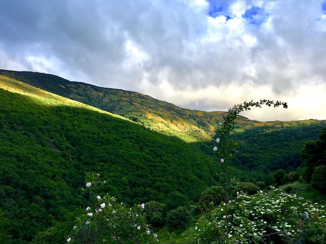 Saint-Frézal-de-Ventalon的民宿