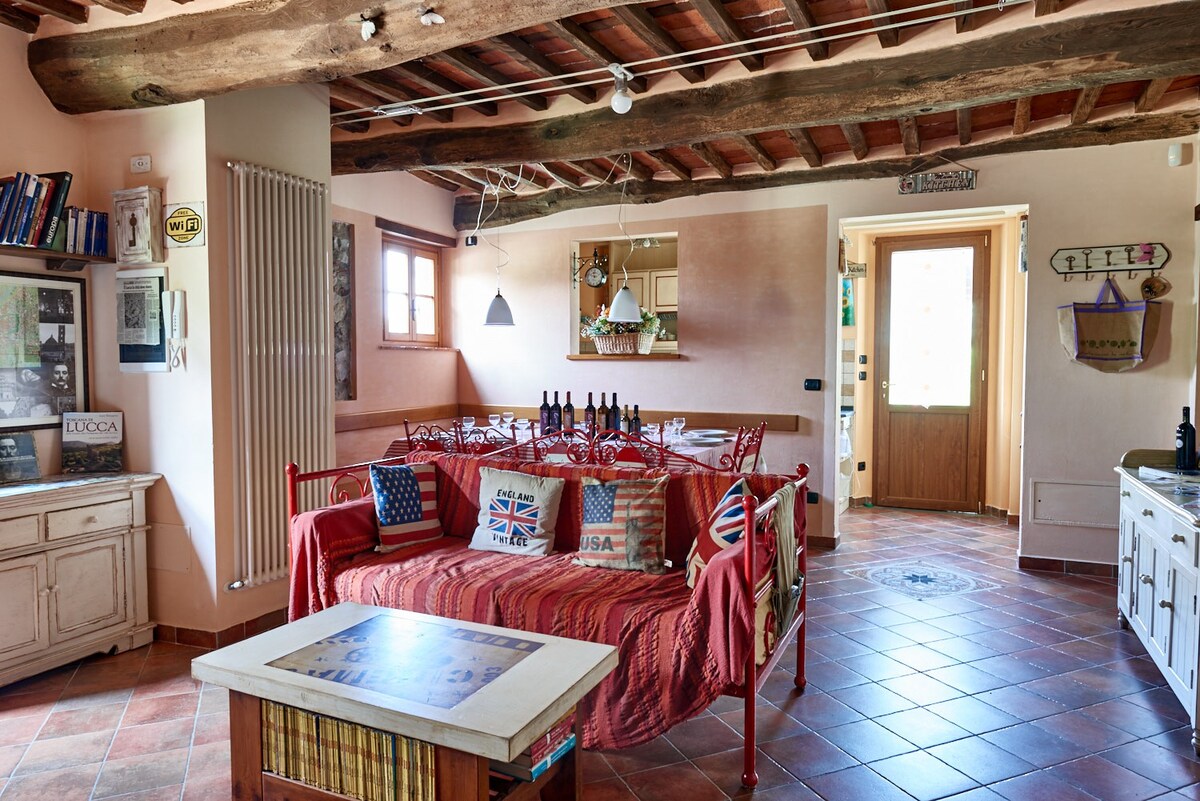 Rustic apartment 3 km from Lucca