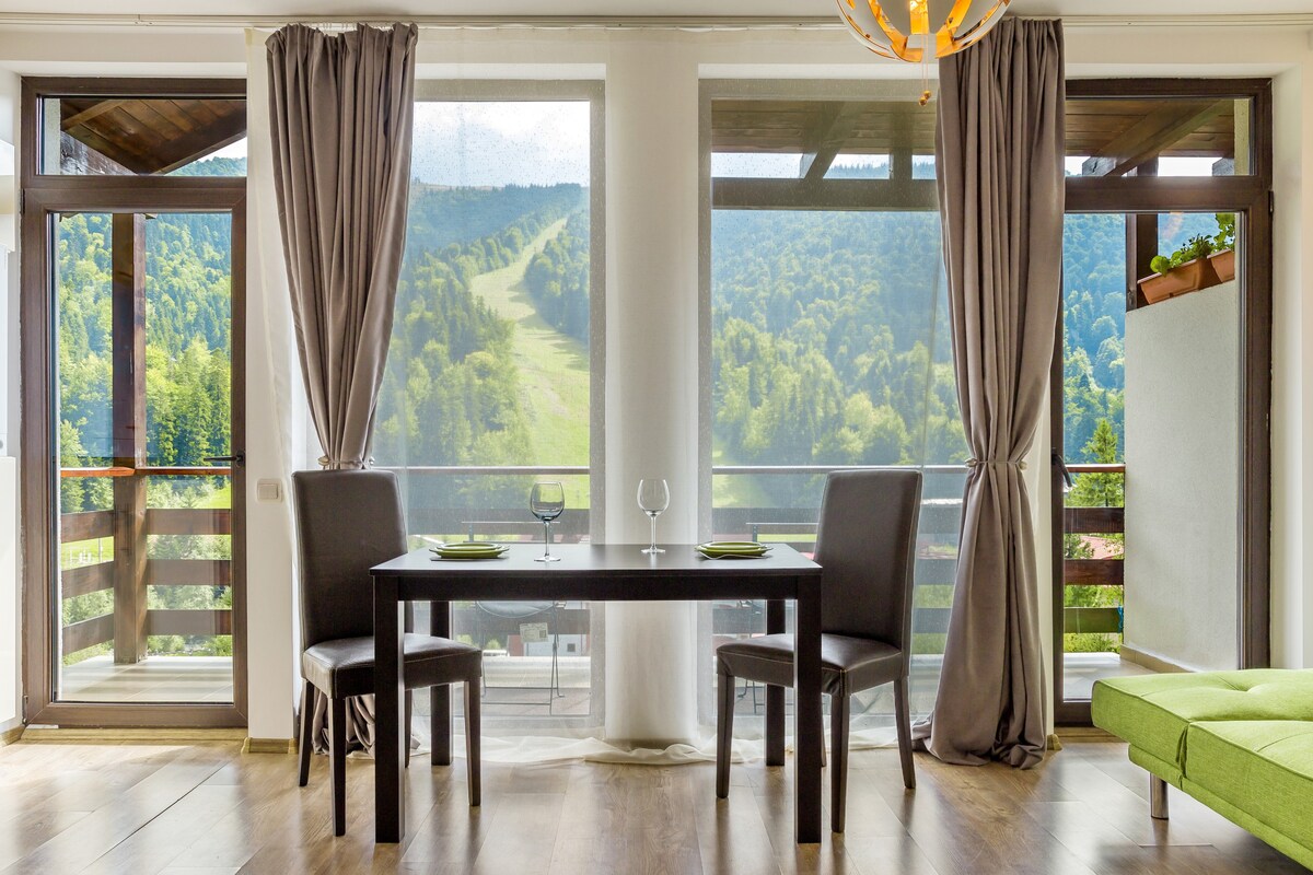Azuga单间公寓-舒适时尚， 
可爱的景观-滑雪坡