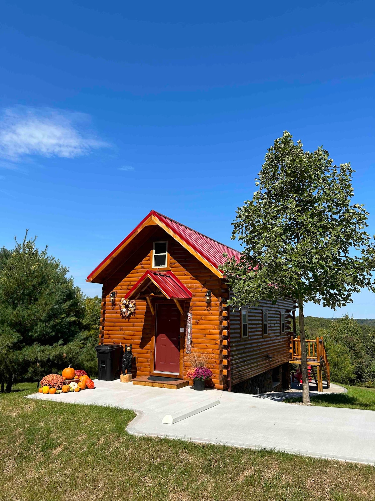 Paradise Peak Cabins “Songbird”