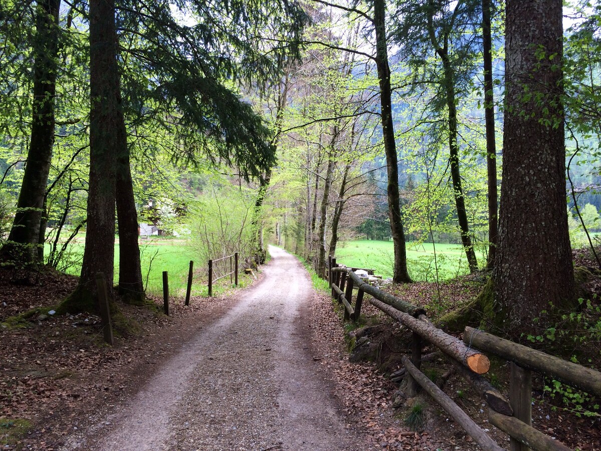 莱德罗谷（ Ledro Valley ）原汁原味的生态查莱德谷