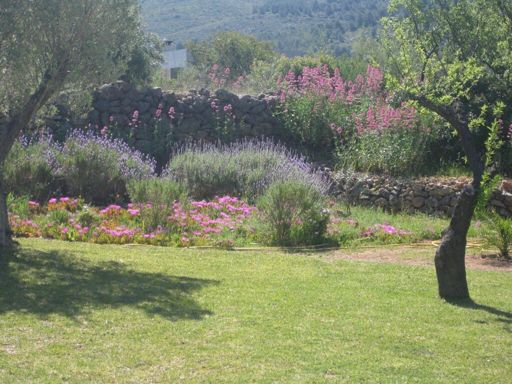 Romantic Finca with pool