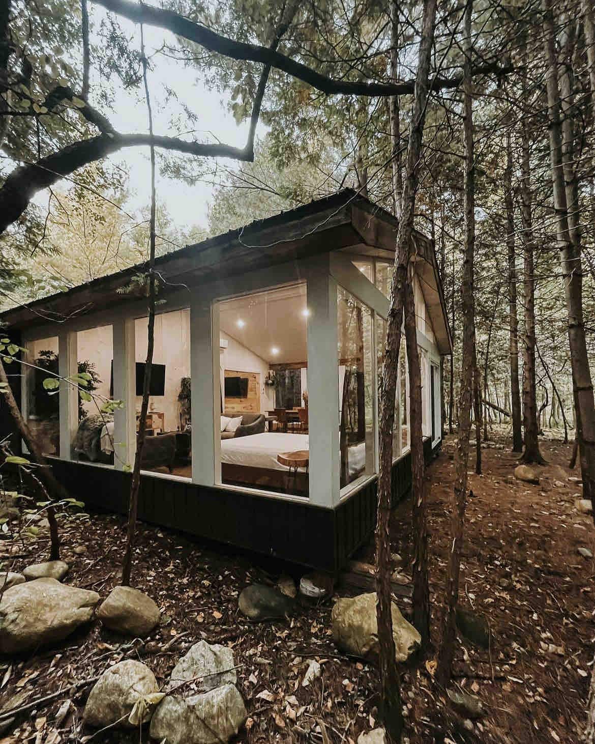 Pine Reeve Cabin。森林中的乡村小屋。