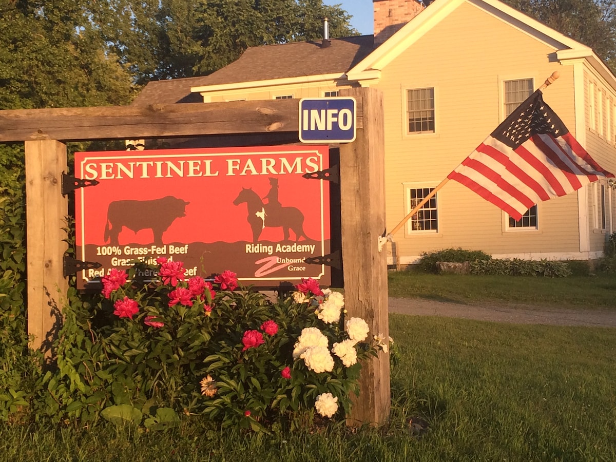 Equestrian Haven at Sentinel Farms