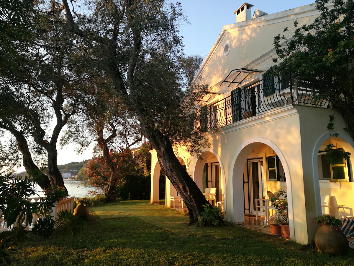 Charming beachfront villa - Entire house