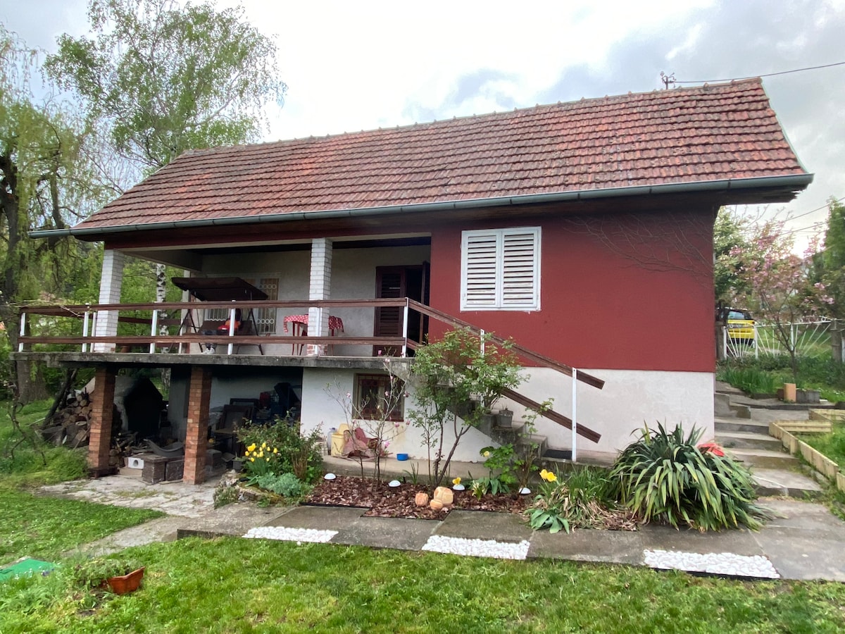 Cozy House with garden big terrace and Danube view