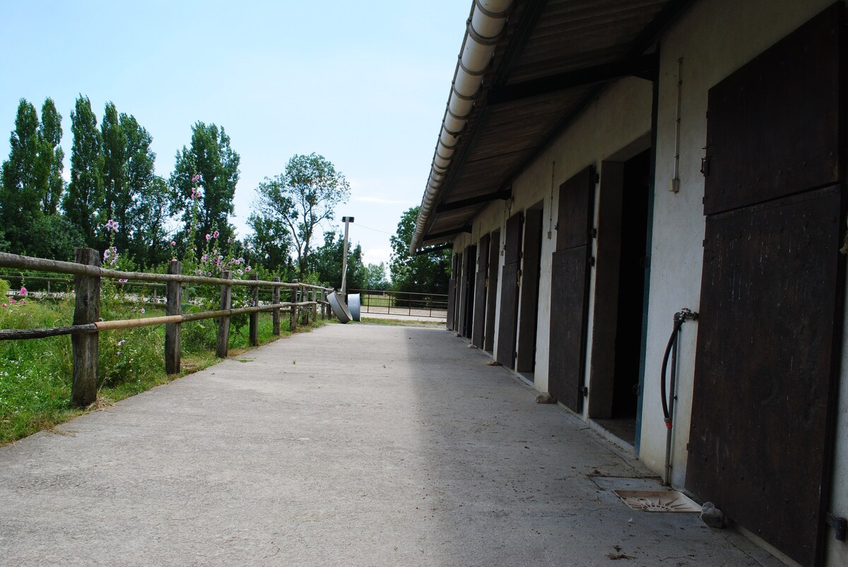 在南旺德的仓库和修道院长旁边的马厩