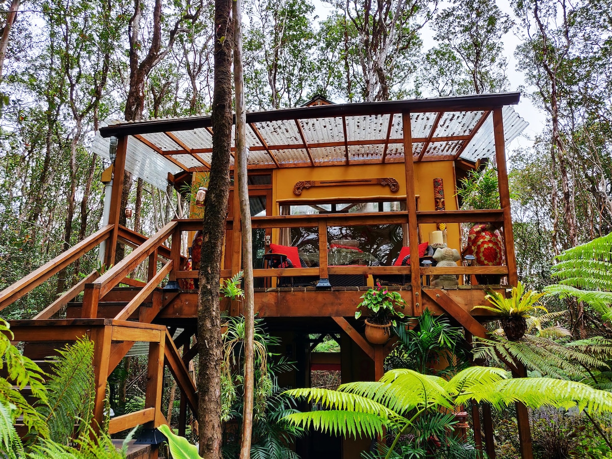 宁静的雨林树屋休闲之旅