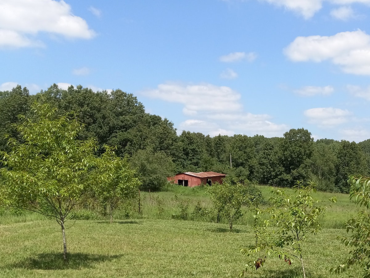 Honey Homestead - a working farm