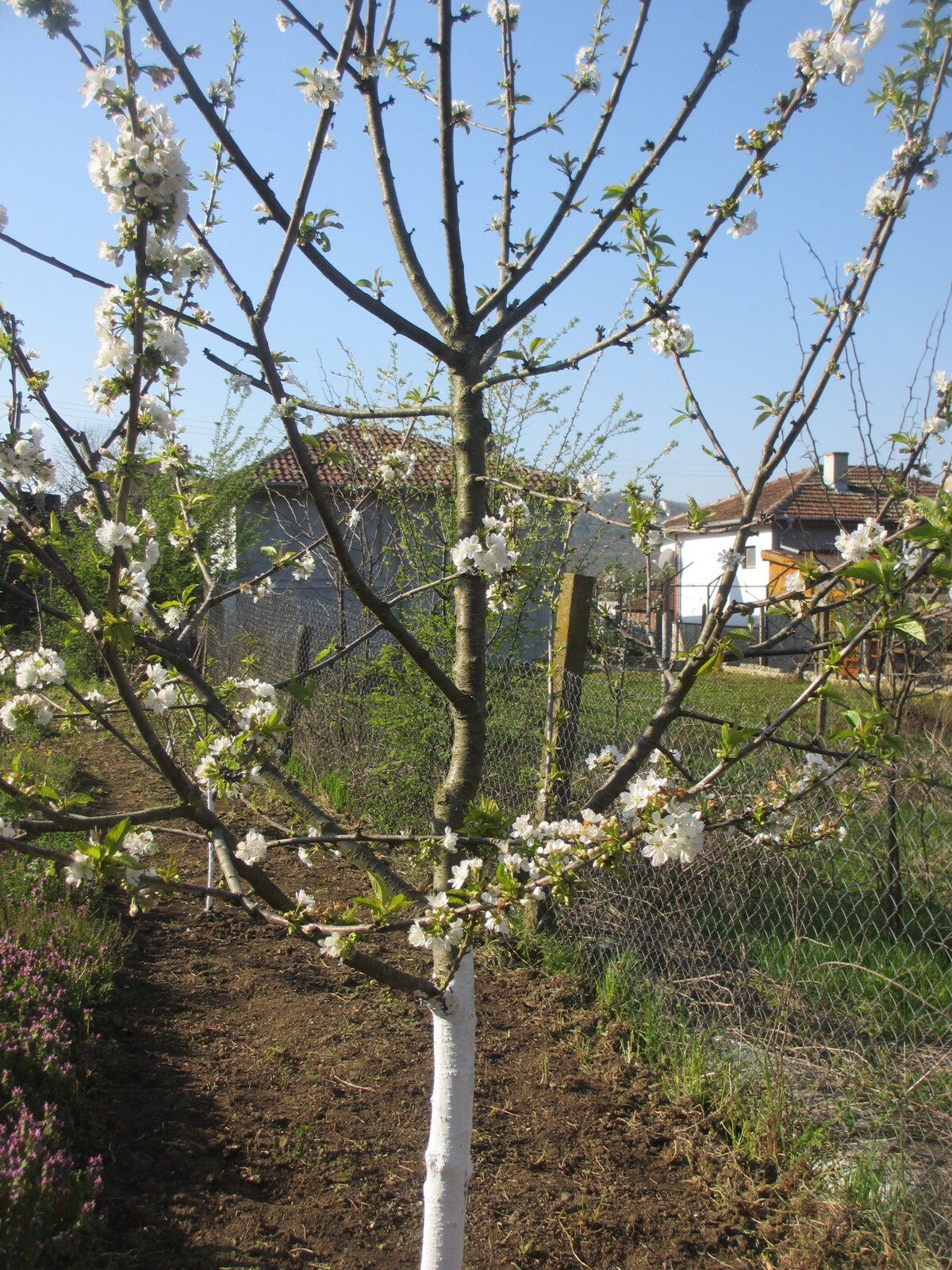 Country House Brodilovo