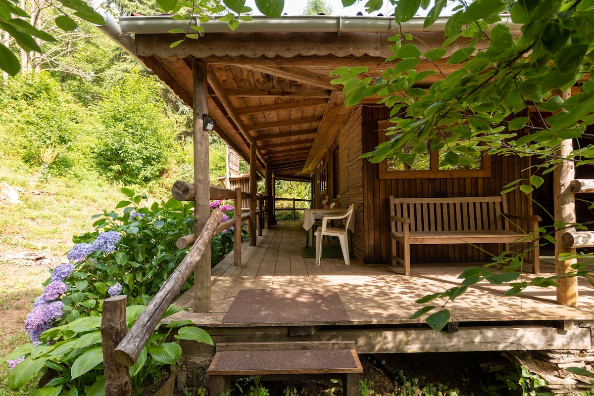 蒙塔涅之旅（ Chalet dans la forêt en Montagne ）