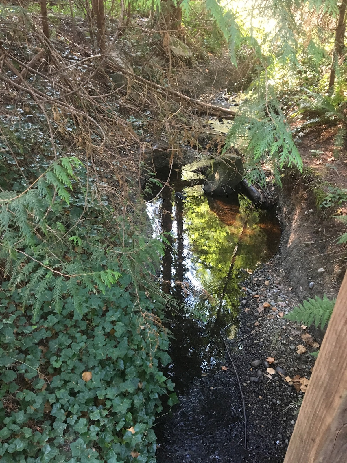 利默里克湖-河畔干燥露营地-帐篷