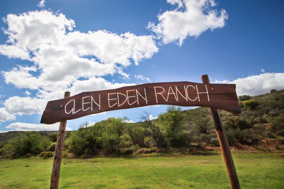 Glen Eden Ranch - Protea Pod
