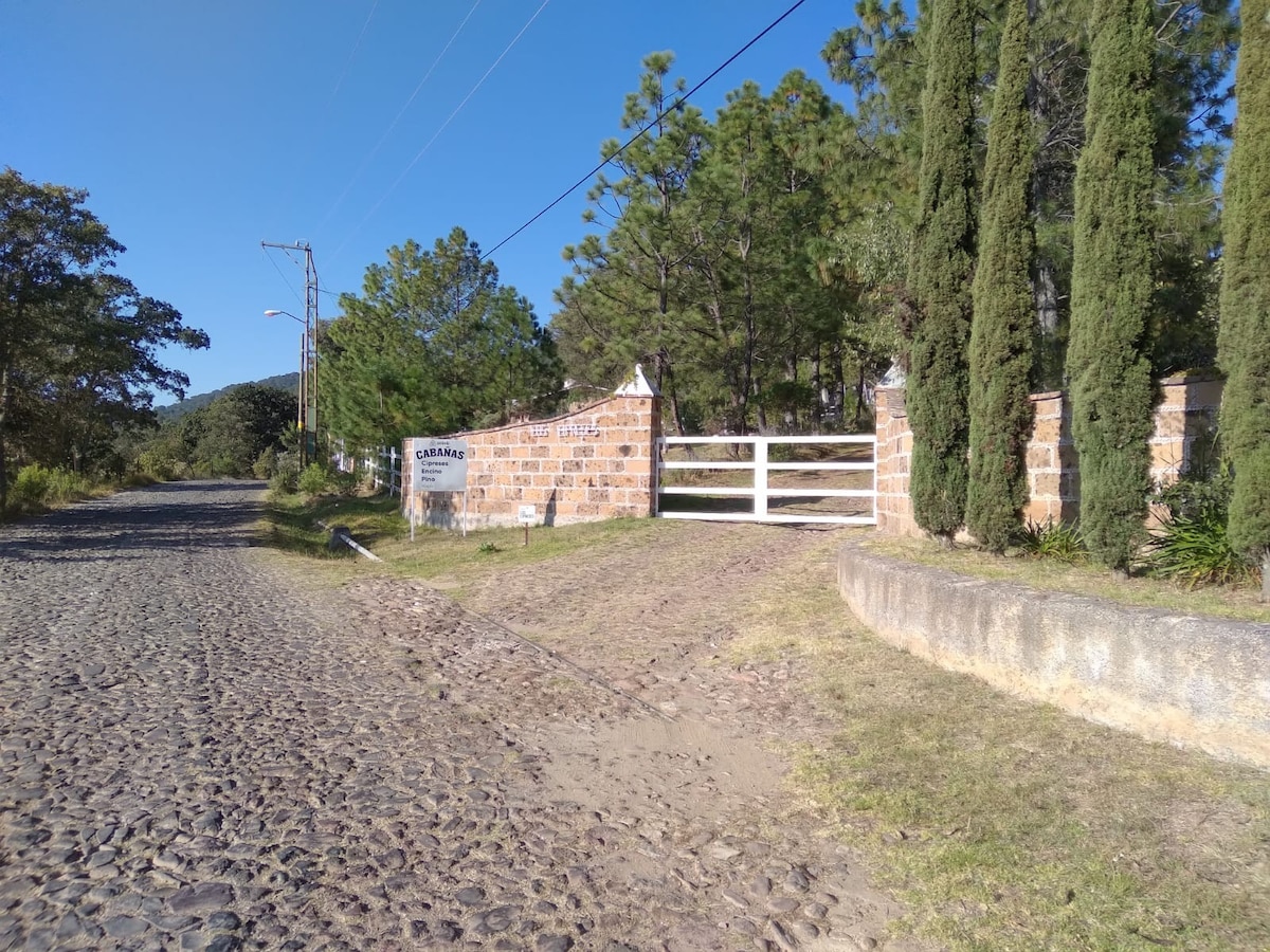 Cabaña Amealco Cipreses