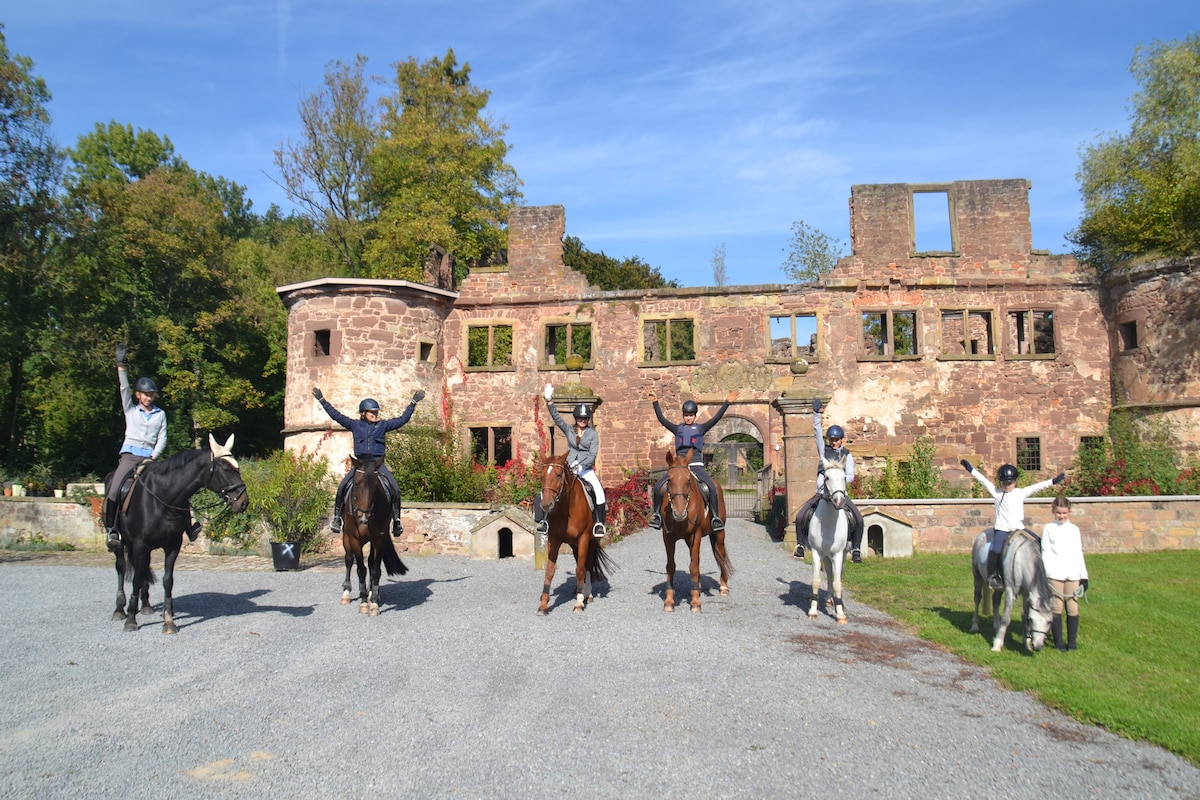 Ferienwohnung Dustin in the Reiterhof