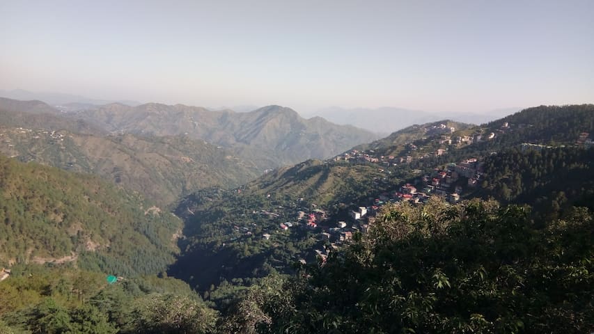 西姆拉（Shimla）的民宿