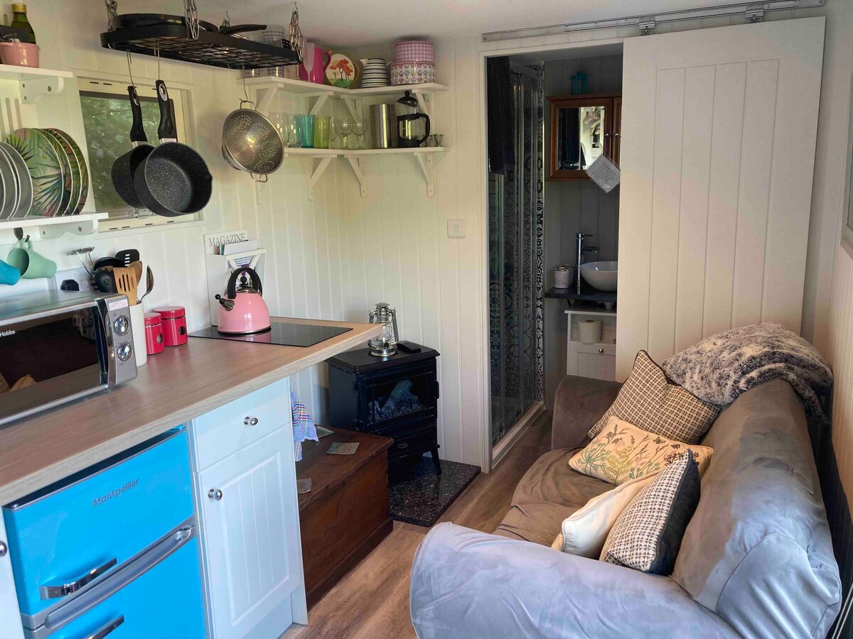 Hattie the Horse Box - unique conversion