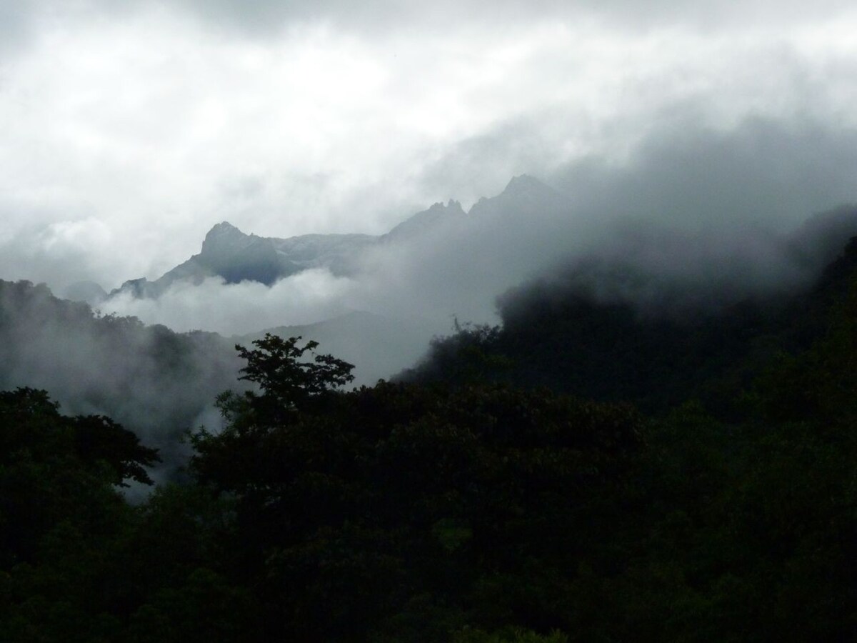 River-side House El Refugio Intag Cloud Forest