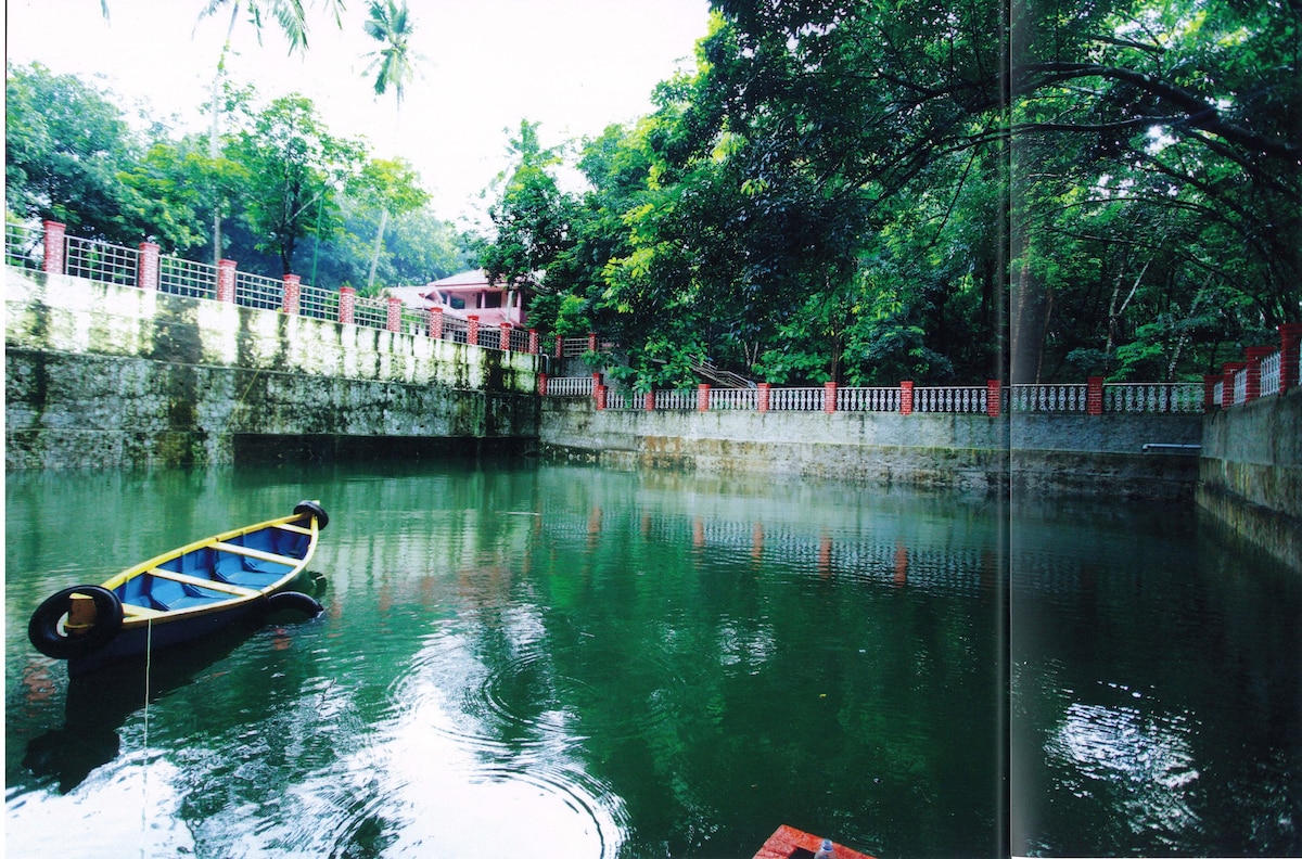 明星木体育度假村。