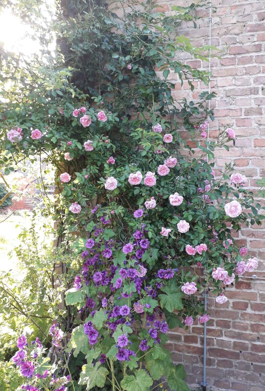 Ruhe- und Rückzugsort im naturnahen Garten