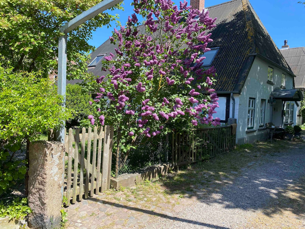 Insel Bauernhaus "Der Saal" ，靠近海滩，有花园