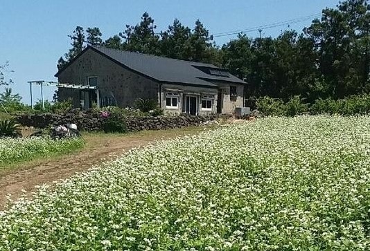 Patio Aewol （济州海溪石屋，只有一个团队，私人场所）