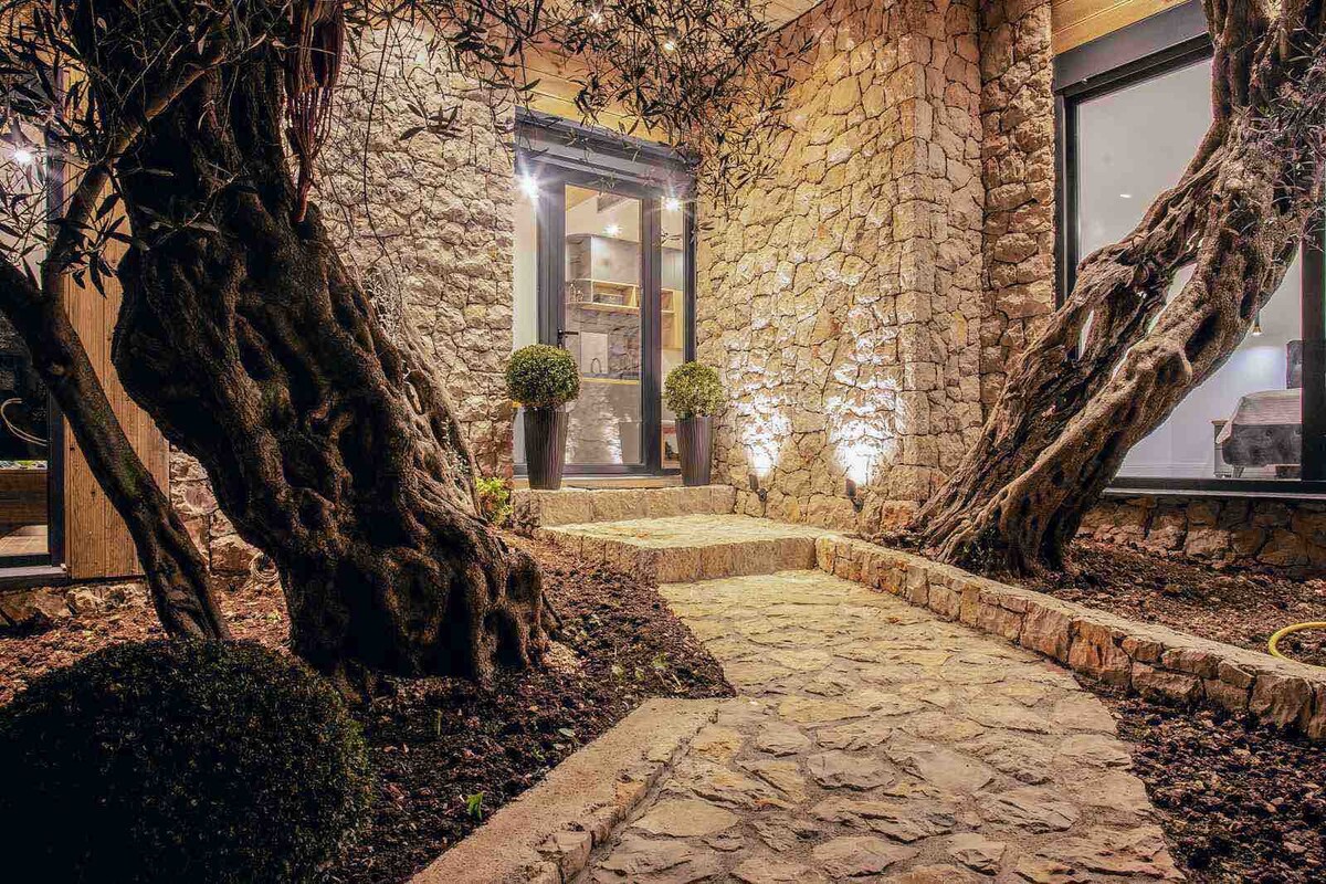 浪漫的橄榄树林中的房子