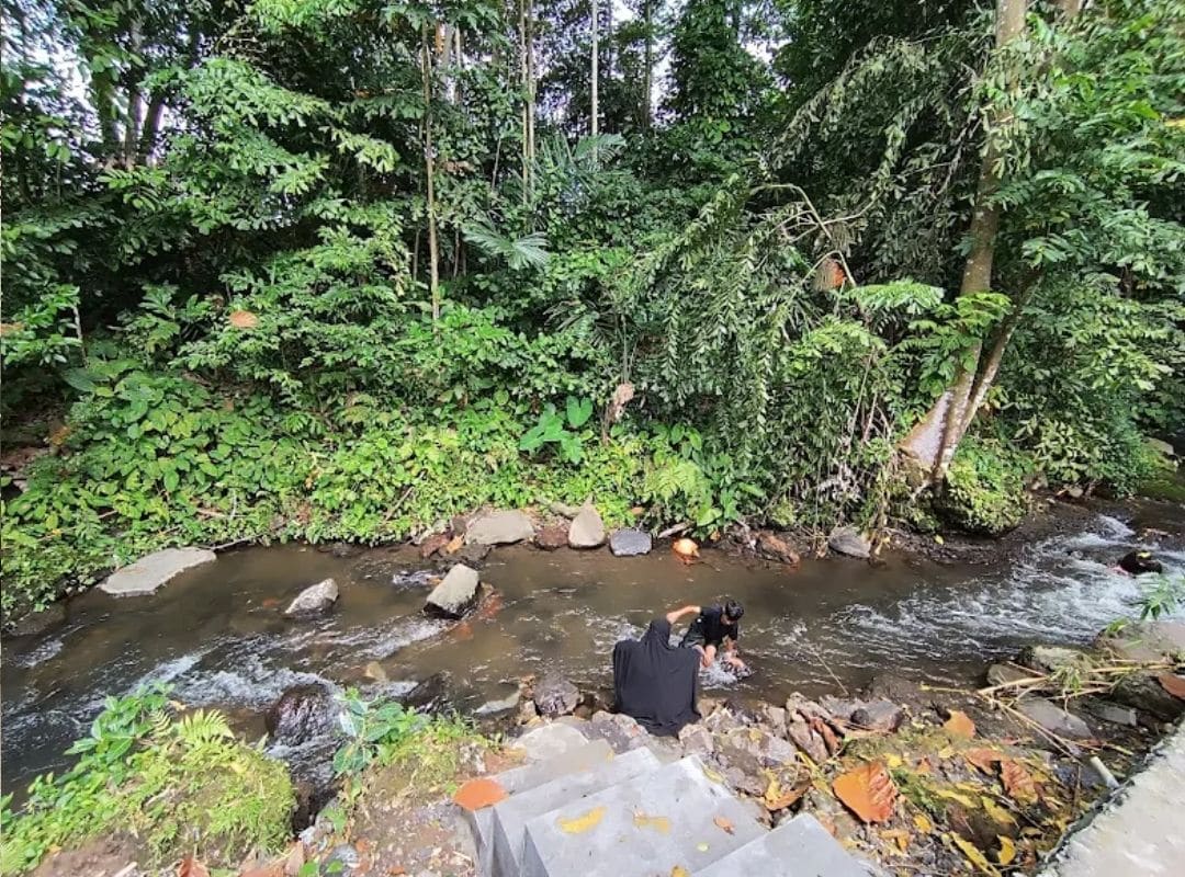 Homestay mewah berkolam renang di pinggir kali