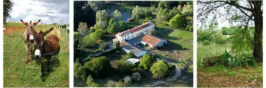 Gîtes à la ferme avec étangs