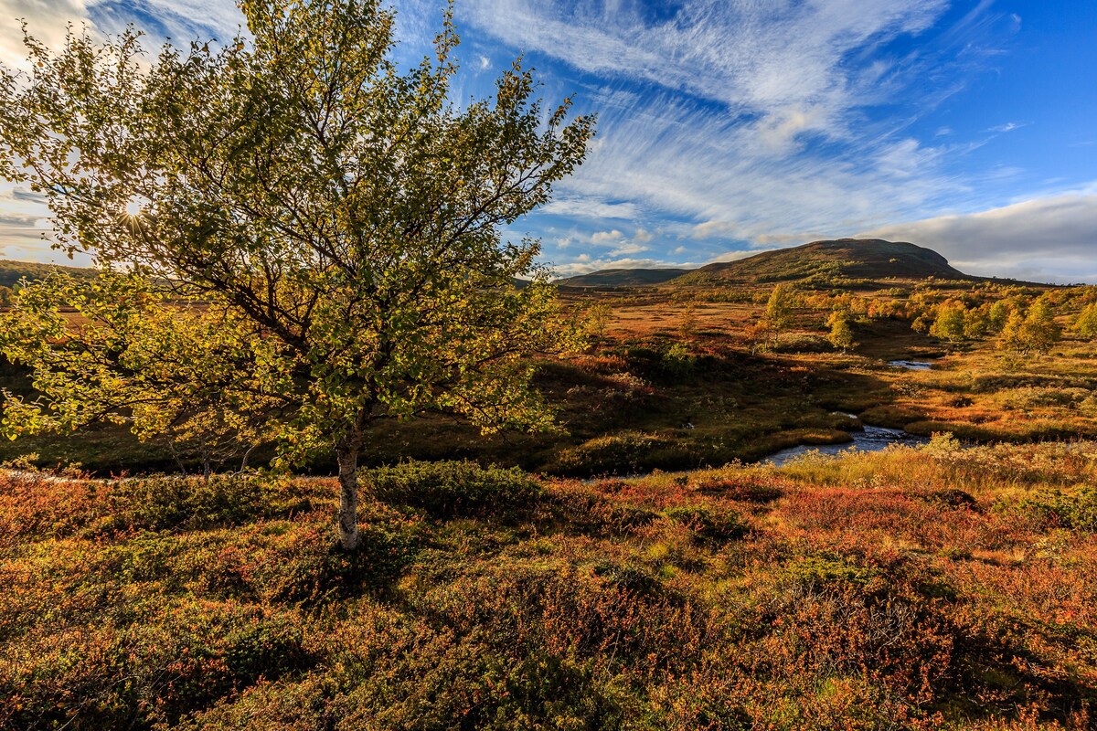 Fjällbäcken旅社Funäsfjällen Bruksvallarna