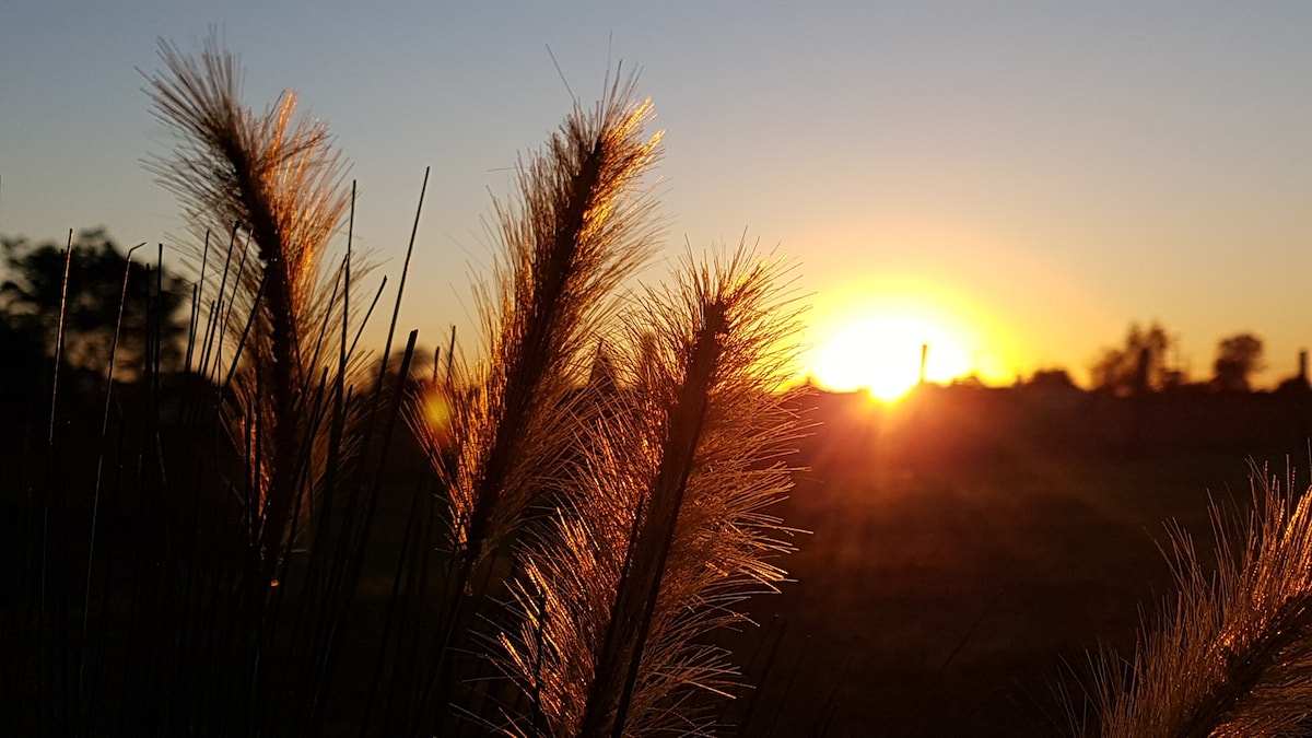 Tierra Mora Aparts de campo