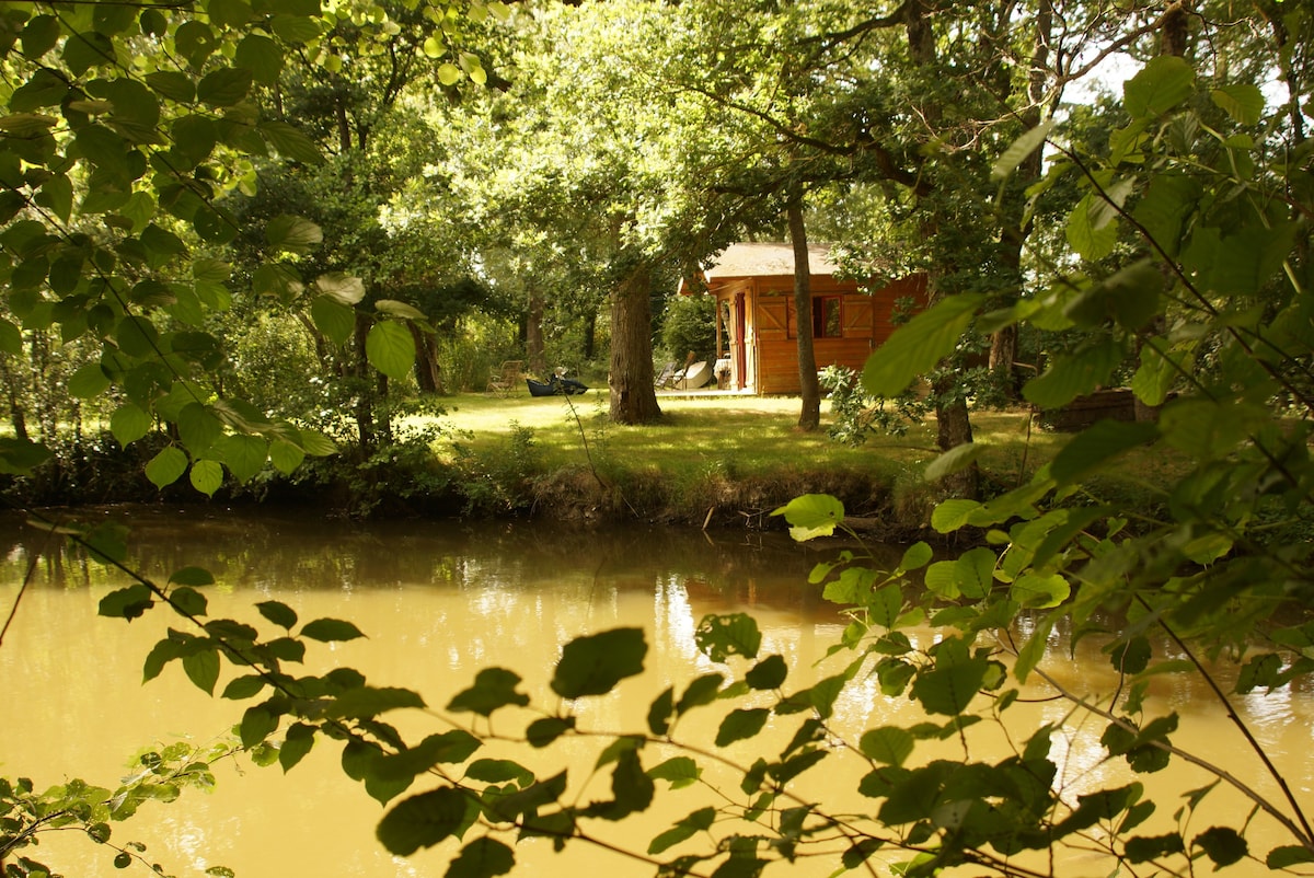 奢华的自然风光，池塘旁的度假木屋