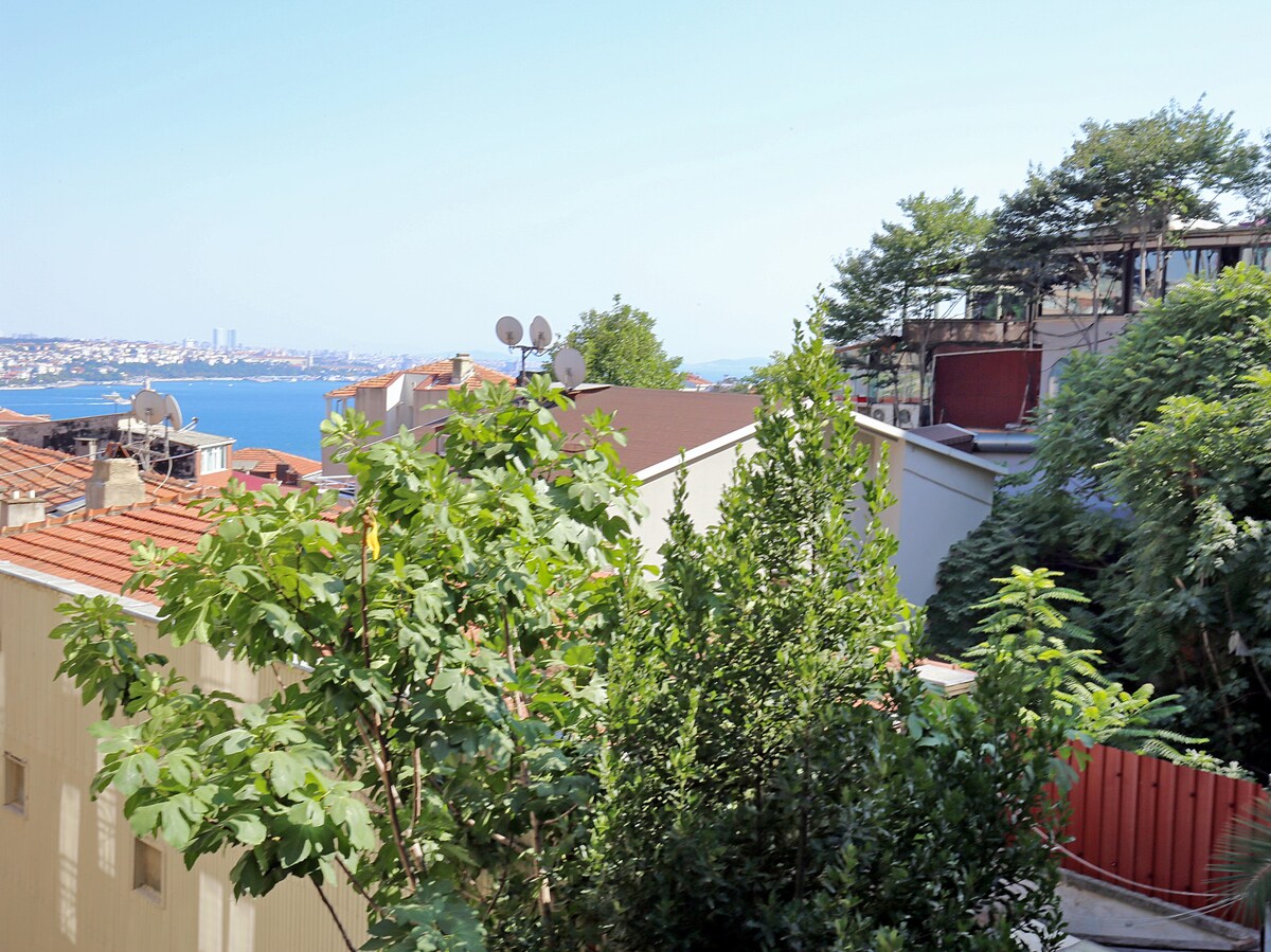 距离塔克西姆广场（ Taksim Square ）的舒适公寓，可欣赏美景