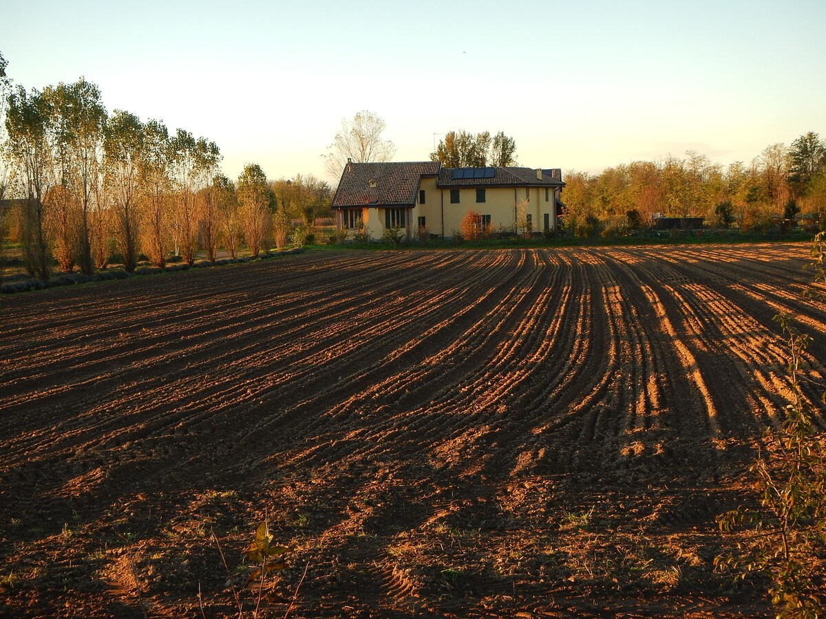 B&B Agriturismo Cascina Lema - Guzza