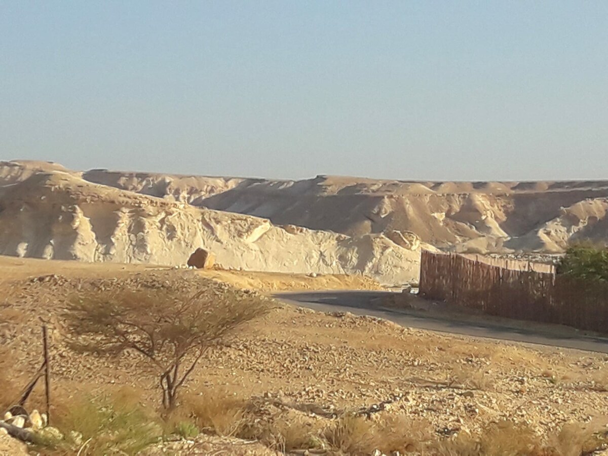 Indulgence in the desert בית מפנק בלב מדבר