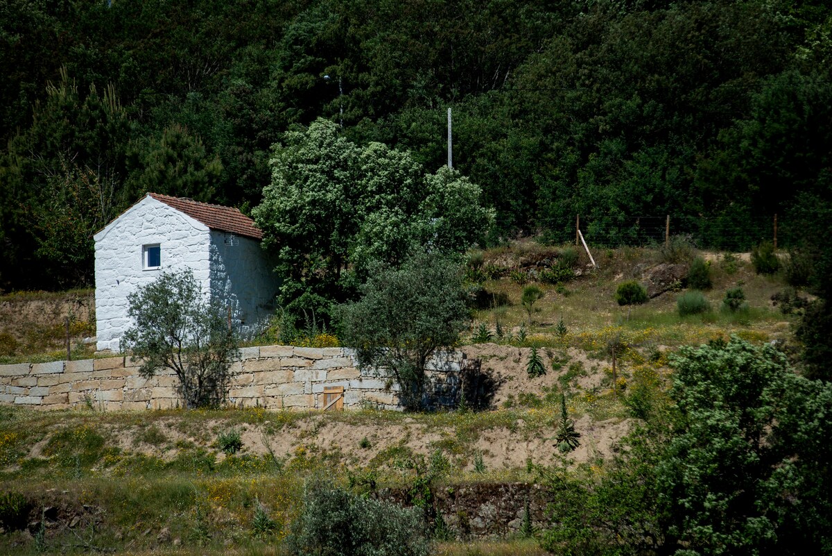 Casa Branca - Quinta Casa da Várzea