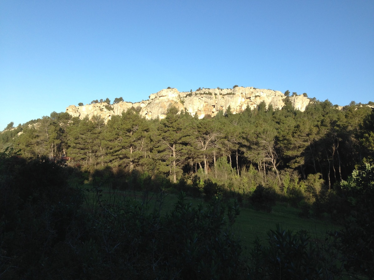 Charming comfort  hut in Provence