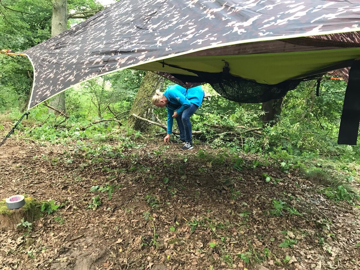 带星空屋顶的森林边缘帐篷