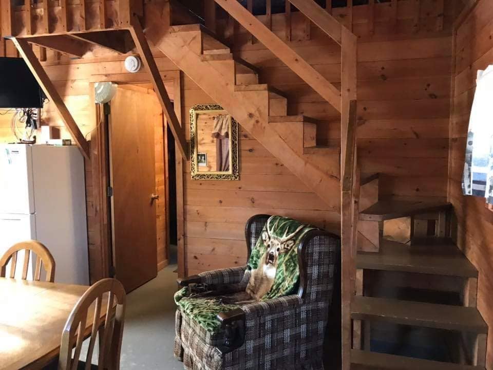 舒适的小木屋# 1-完美的缅因州度假胜地