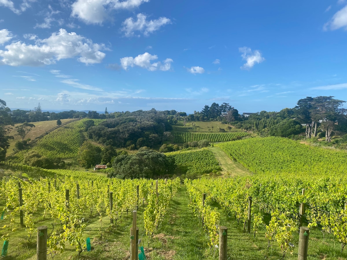 Waiheke是完美度假的完美岛屿！