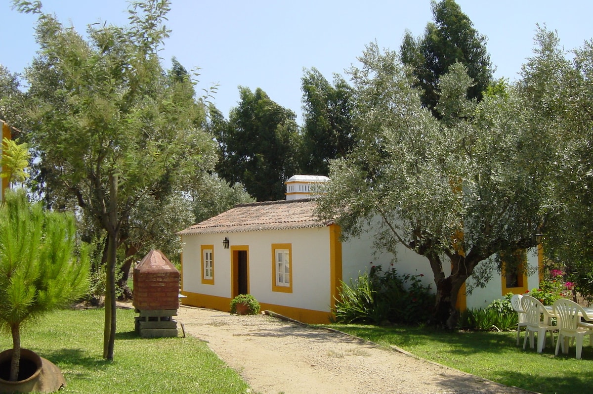 葡萄牙农场中的乡村房屋