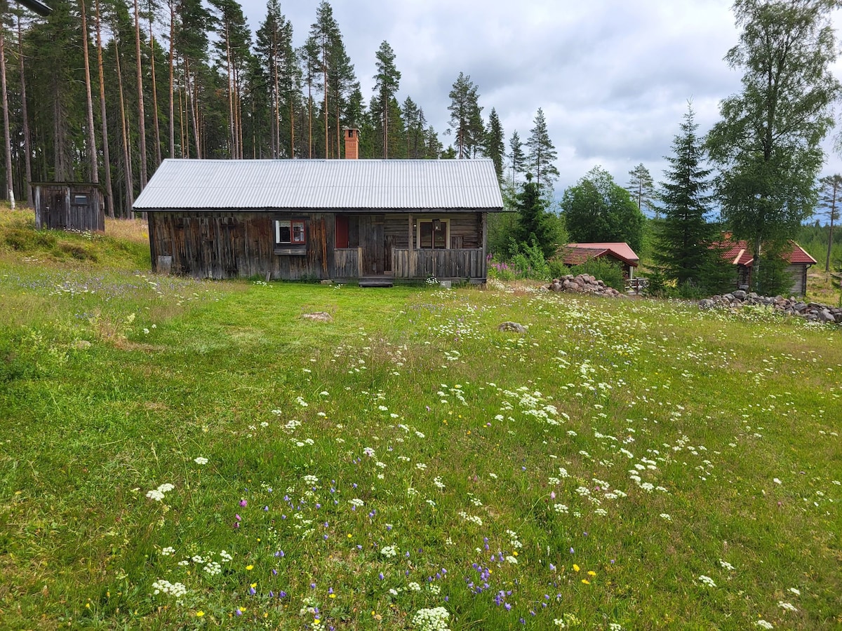 Fäbod vid vandringsled i Dalarna